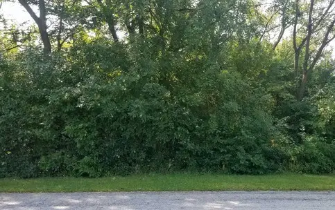 91 E 227th Place, Steger, IL 60475 - #1