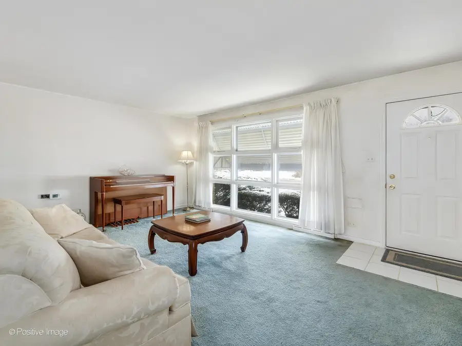 413 N Ridgeland Avenue, Elmhurst, IL 60126 - #3