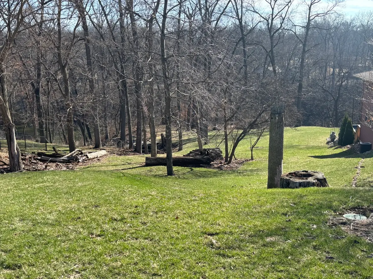 1641 Tanglewood Drive, Varna, IL 61375 - #1