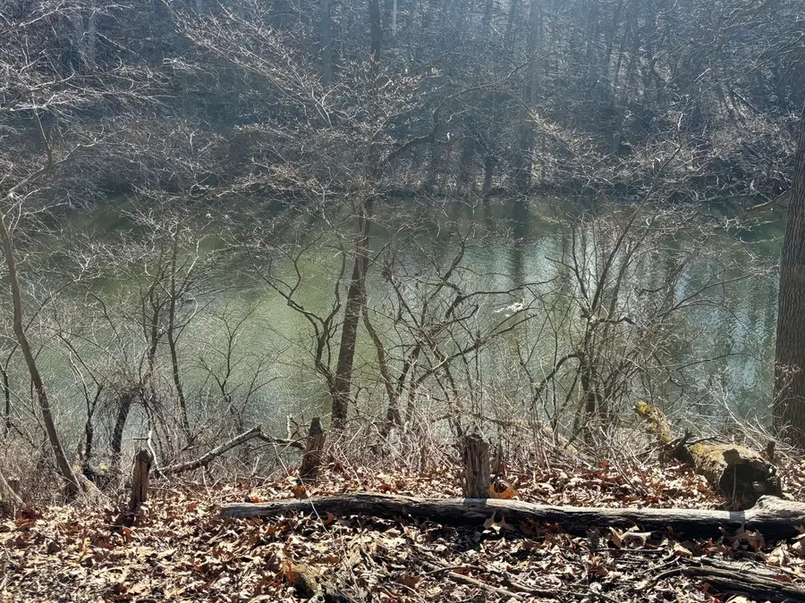 1641 Tanglewood Drive, Varna, IL 61375 - #3