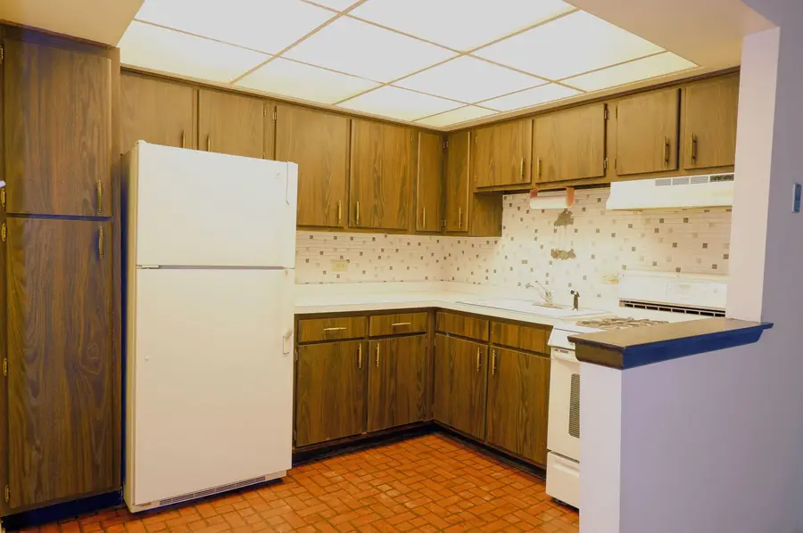 9832 Nottingham Avenue #10, Chicago Ridge, IL 60415 - #3