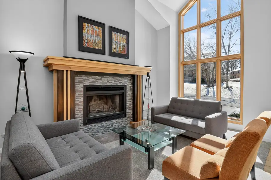 853 Bonnie Brae Lane, Bolingbrook, IL 60440 - #2