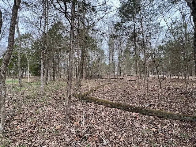 Lot 1234 Indian Camp Drive, Goreville, IL 62939 - #3