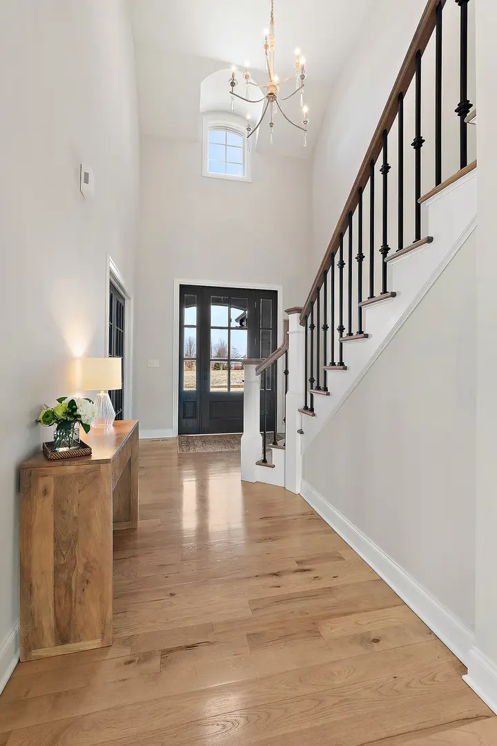 11529 Torino Way, Frankfort, IL 60423 - #3