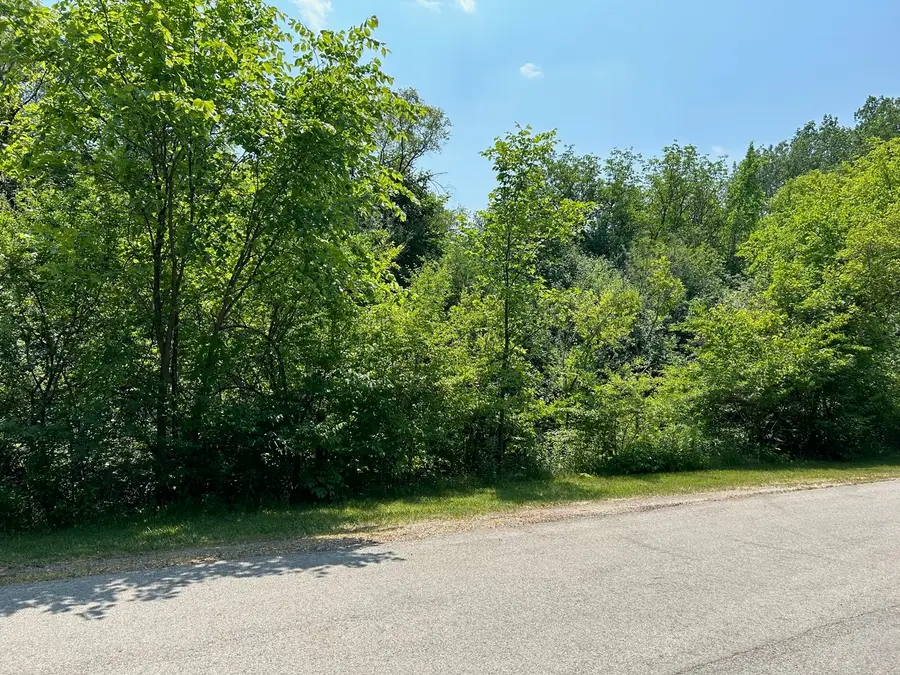 Lot Foster Avenue, Roselle, IL 60172 - #3