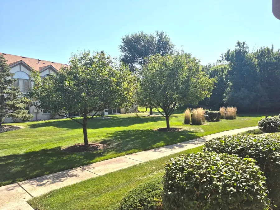 6571 Pine Lake Drive #6571, Tinley Park, IL 60477 - #3