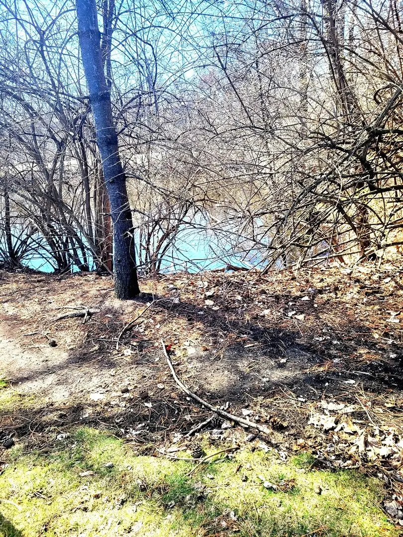 5524 E Lake Drive #84C, Lisle, IL 60532 - #2