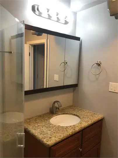 1901 S Ruble Street, Chicago, IL 60616 - #3