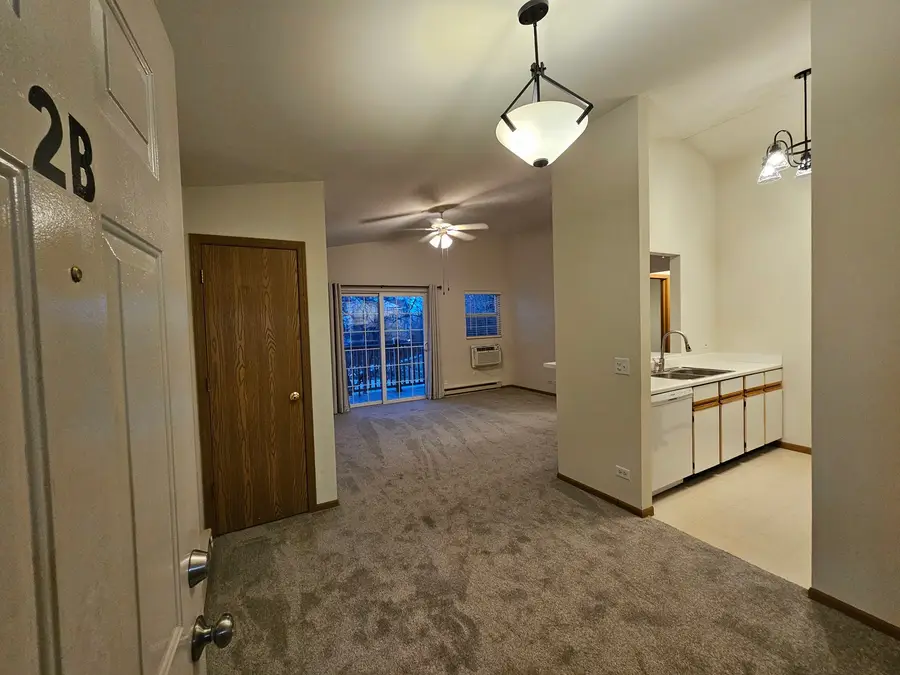 1435 Spring Brook Court #2B, Round Lake Beach, IL 60073 - #2