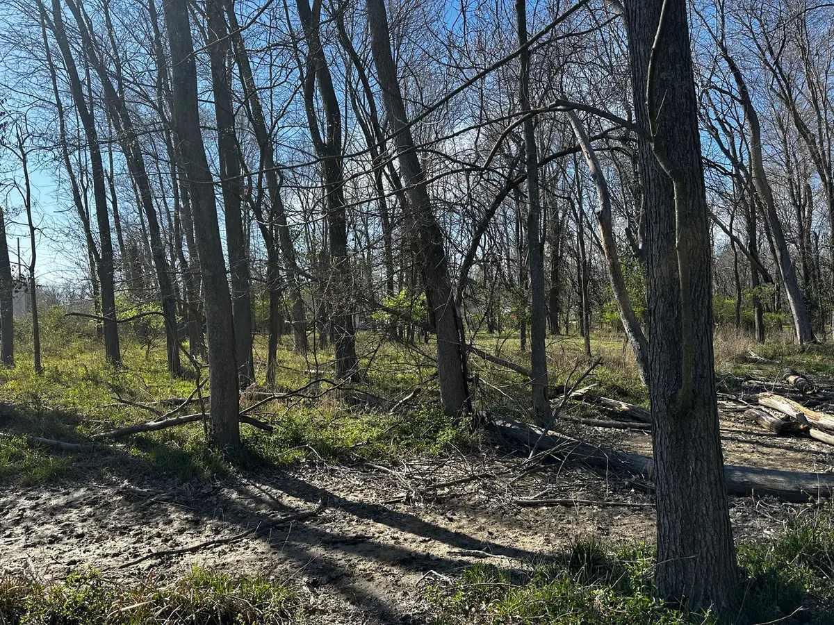 TBD Beckman Road, Mount Vernon, IL 62864 - #1