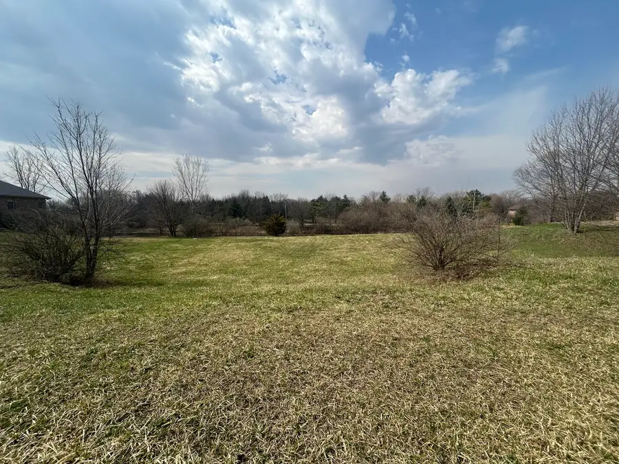 25306 S Tuscany West Drive, Monee, IL 60449 - #3