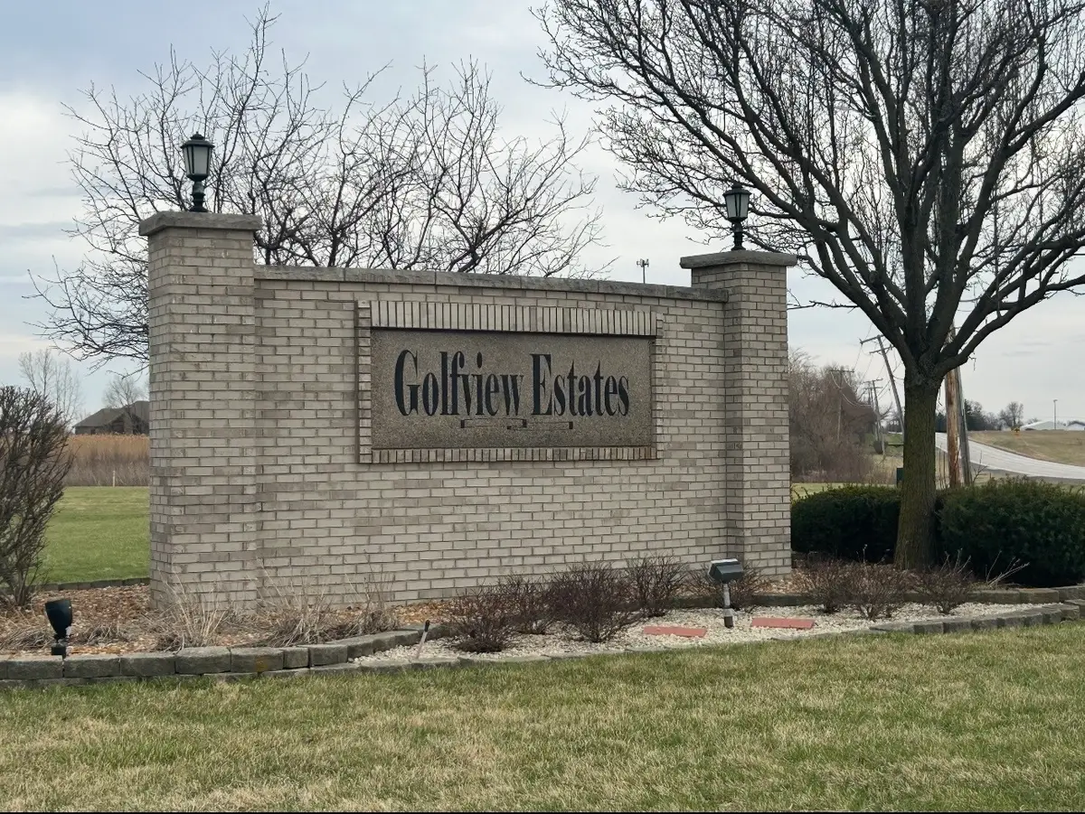 26037 Golfview Court, Frankfort, IL 60423 - #1