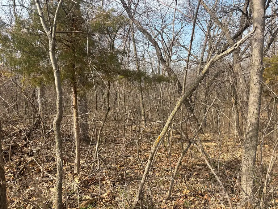 1038 Hidden Valley Drive, Varna, IL 61375 - #2