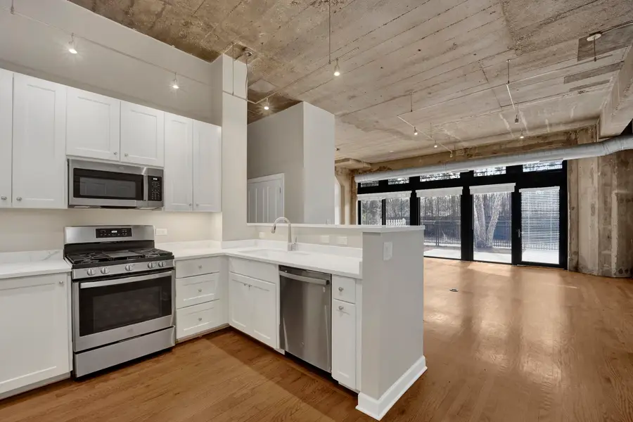 1071 W 15th Street #109, Chicago, IL 60608 - #2