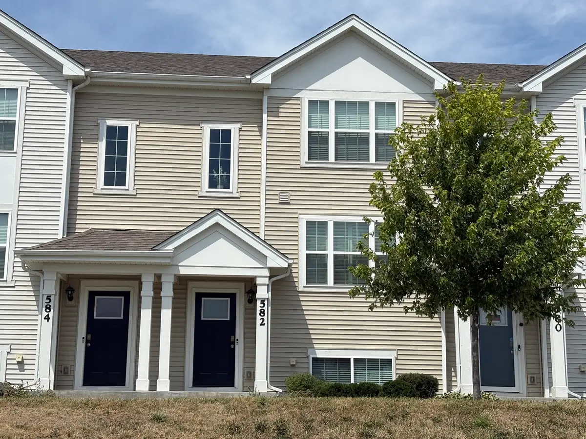 582 Spring Leaf Drive, Joliet, IL 60431 - #1