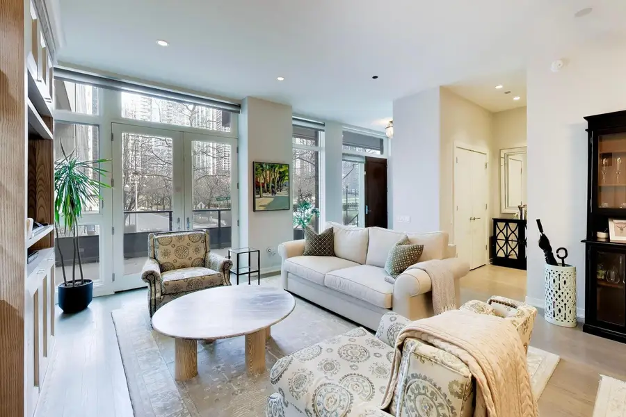 208 N Park Drive, Chicago, IL 60601 - #3