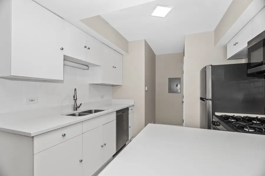 4523.5 S Drexel Boulevard #1E, Chicago, IL 60653 - #3