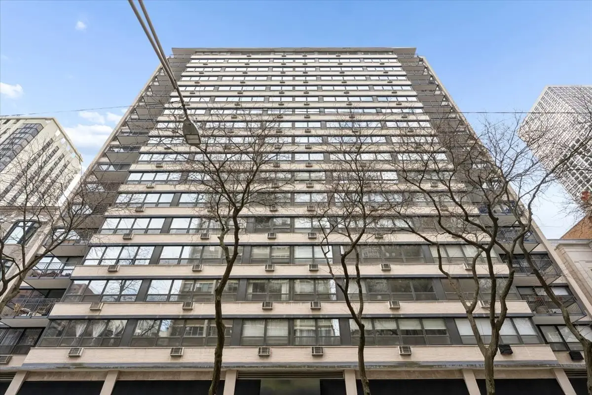 33 E Cedar Street #7D, Chicago, IL 60611 - #1