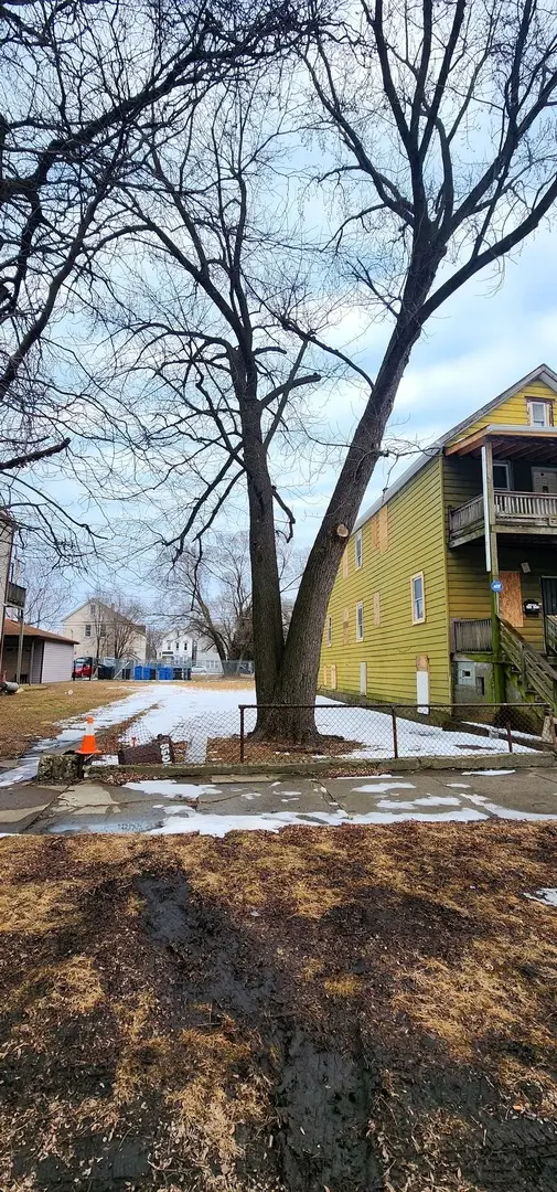 8507 S Brandon Avenue S, Chicago, IL 60617 - #2