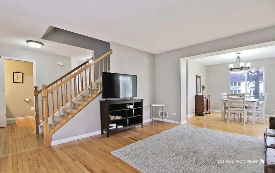 1407 S Janice Lane, Round Lake, IL 60073 - #3