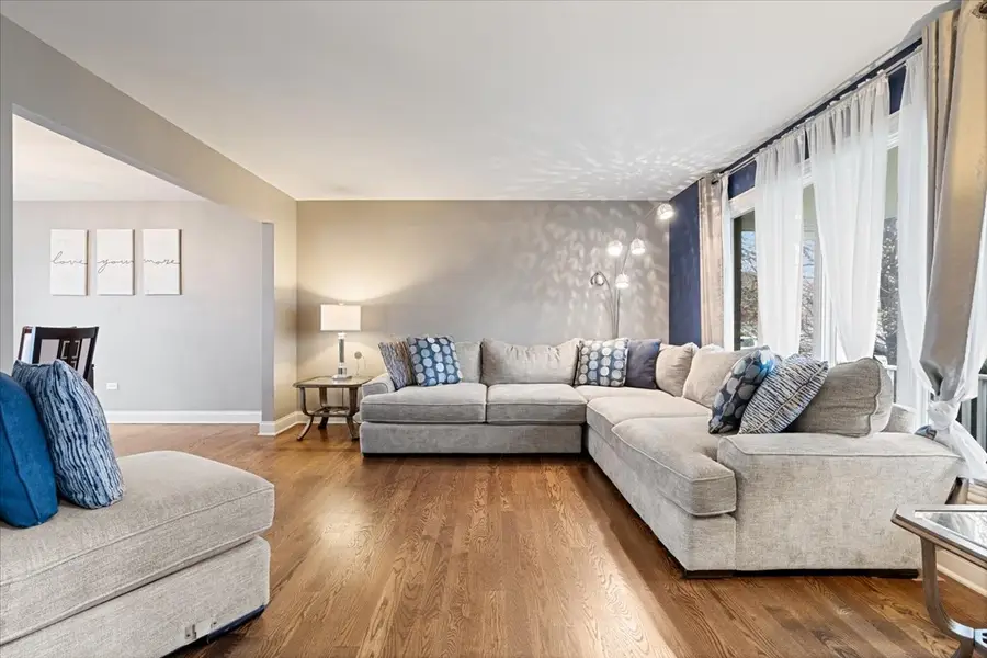 8667 Monaghan Drive, Tinley Park, IL 60487 - #2