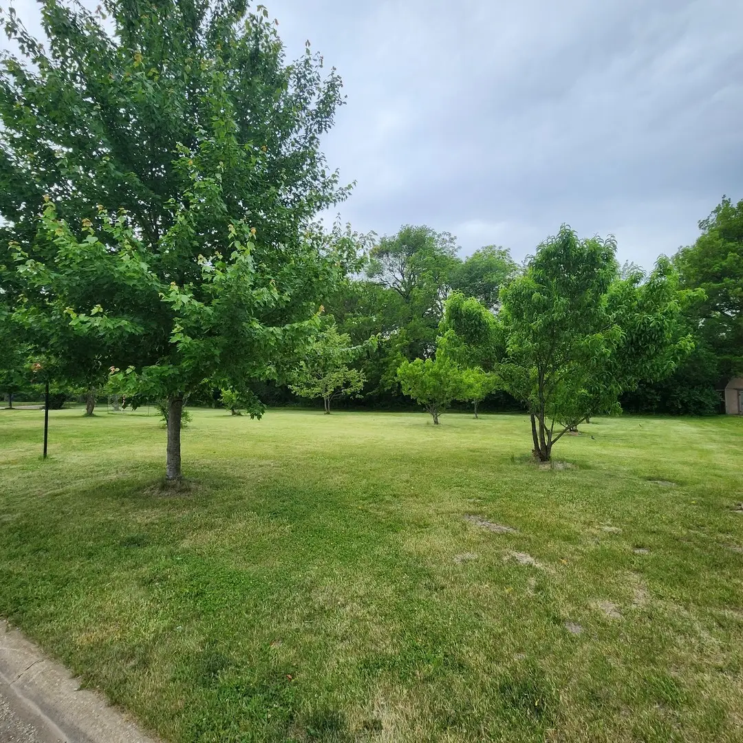 Lot 3607 E 1769 Road, Ottawa, IL 61350 - #1