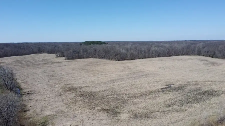 4771 Sullens Avenue, Iuka, IL 62849 - #2