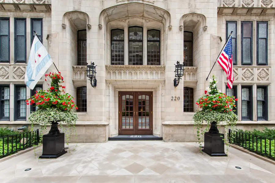 220 E Walton Place #9W, Chicago, IL 60611 - #3