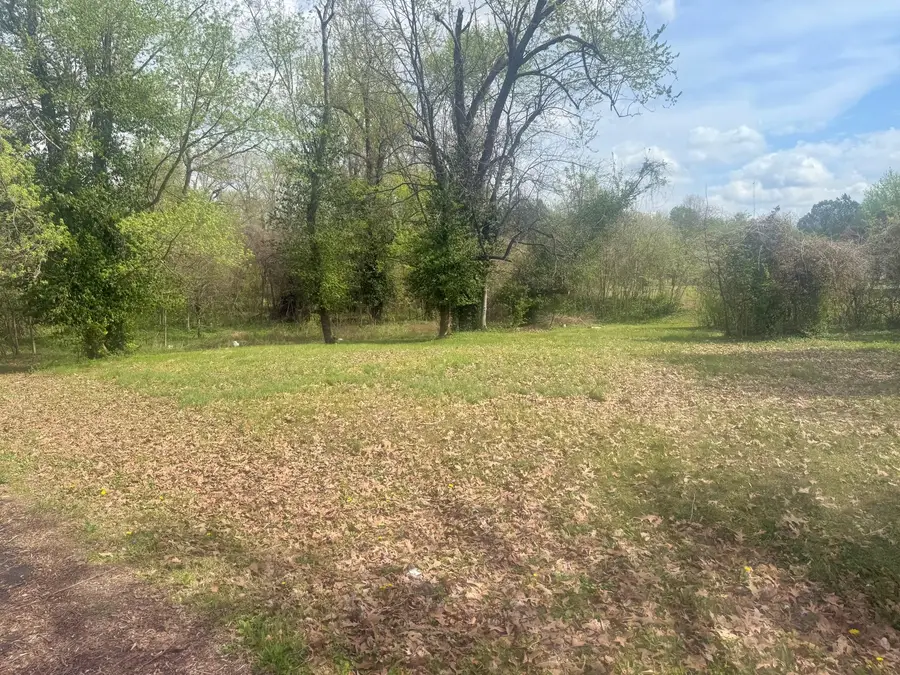 701 E 16th Street, Metropolis, IL 62960 - #2