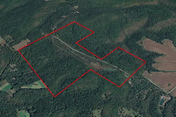 191 Bruce Johnson Road, Herod, IL 62947