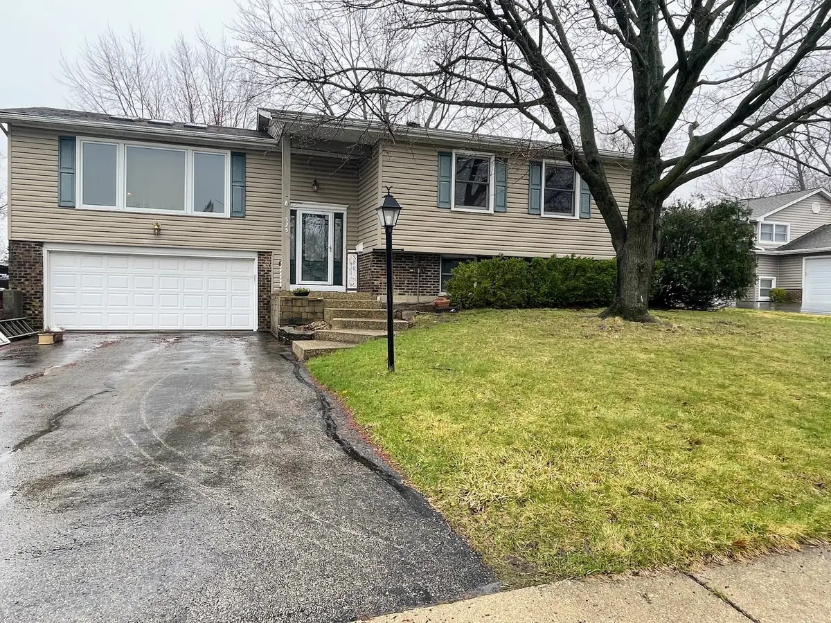 525 Ramblewood Court, Lake Zurich, IL 60047 - #1