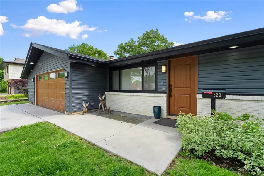 823 Georgean Lane, Schaumburg, IL 60193 - #3