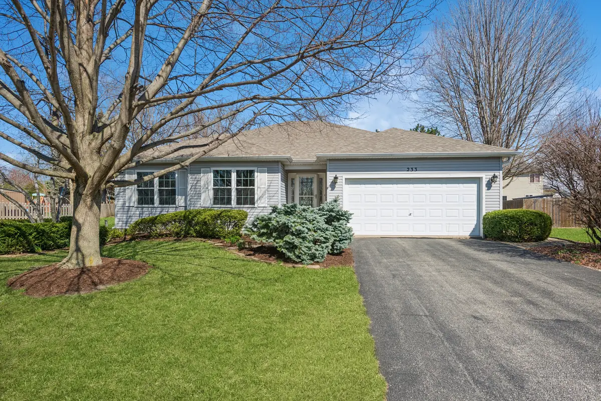 233 Spring Court, North Aurora, IL 60542 - #1