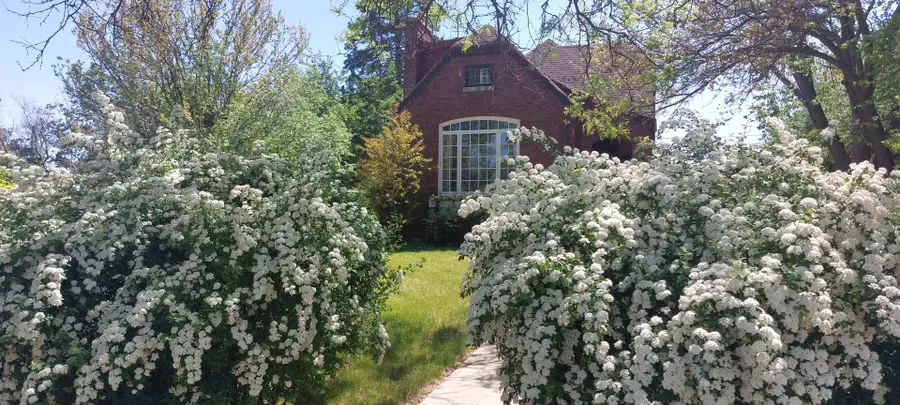 19 W Hattendorf Avenue, Roselle, IL 60172 - #3