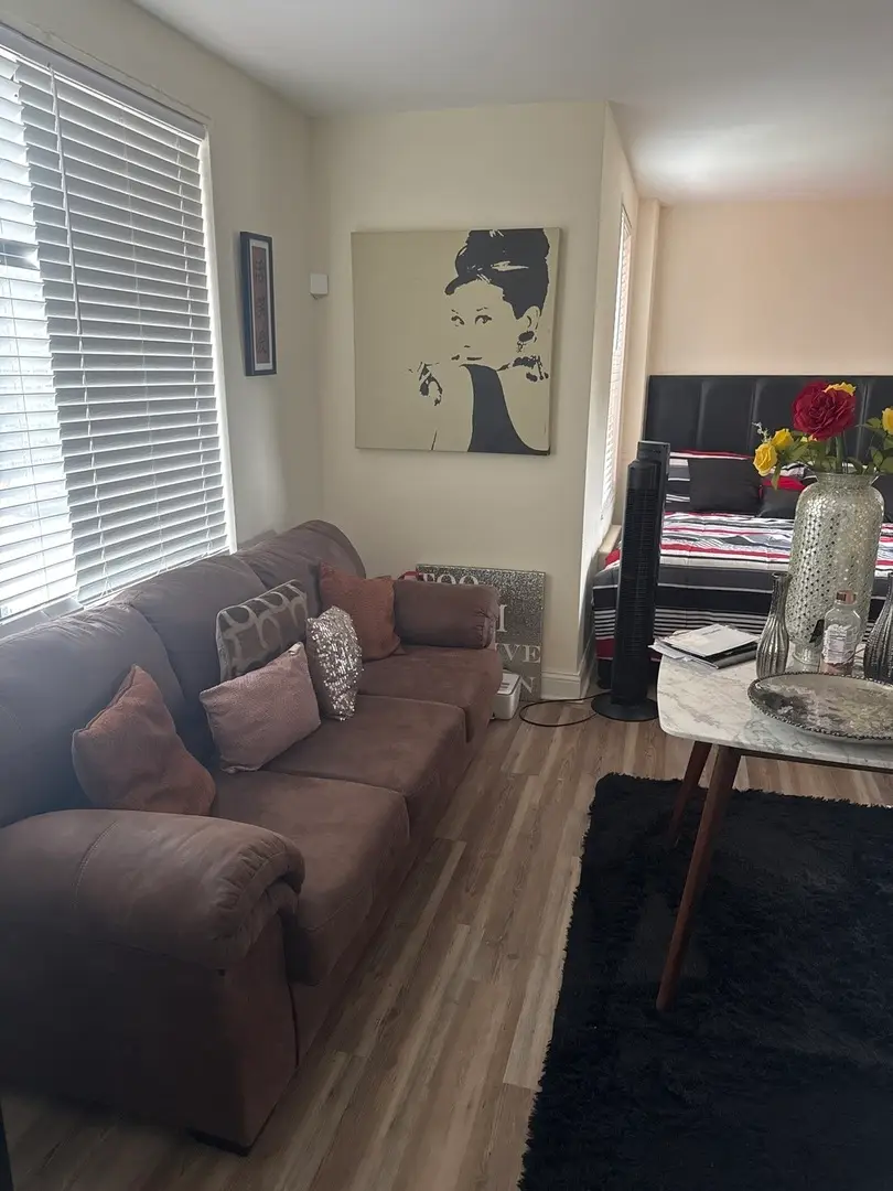 7363 S South Shore Drive #209, Chicago, IL 60649 - #3