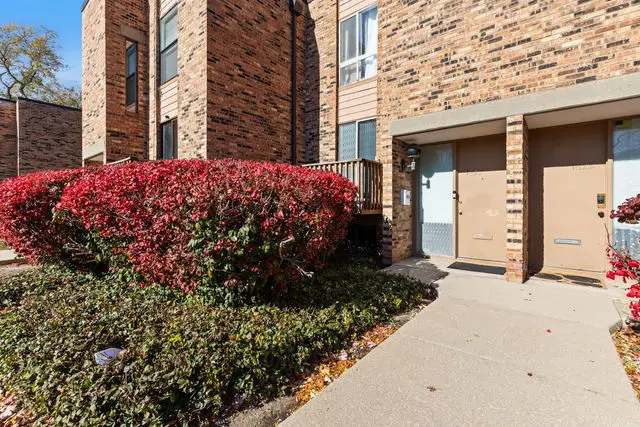 1620 Waxwing Court, Schaumburg, IL 60173 - #2