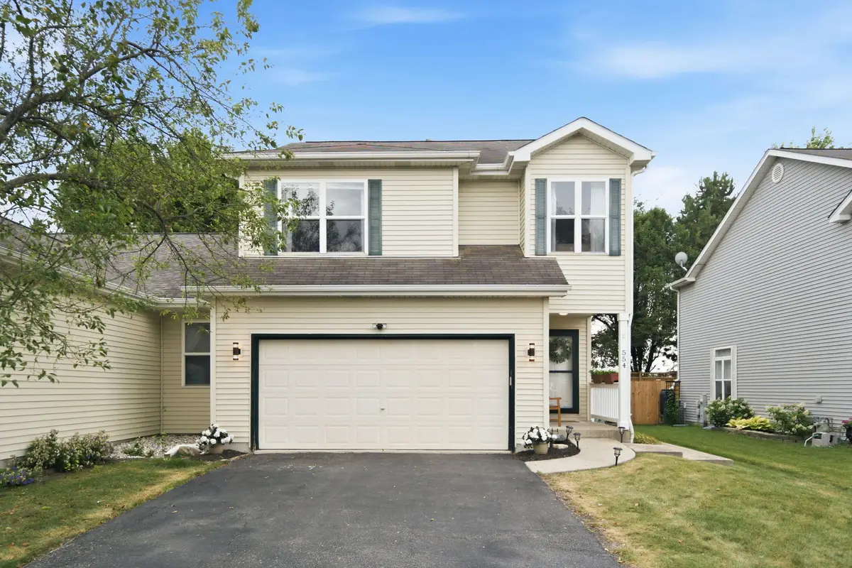 554 Chestnut Drive, Oswego, IL 60543 - #1