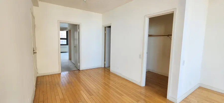 221 E Walton Place #17E, Chicago, IL 60611 - #3