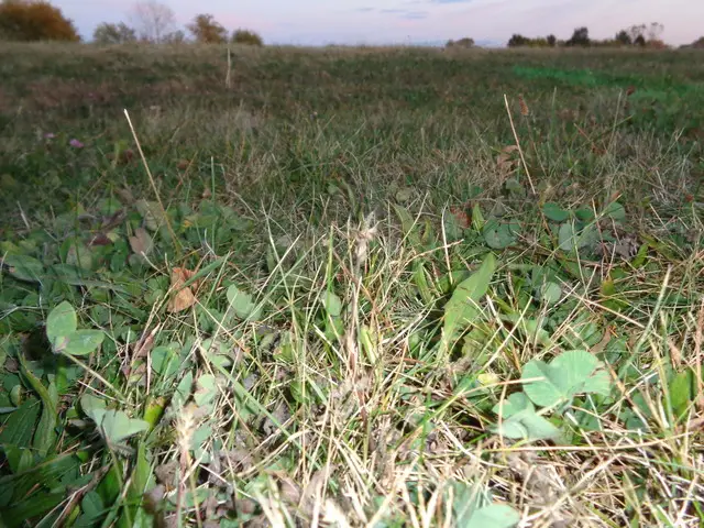 623 S State Street, Lockport, IL 60441 - #1