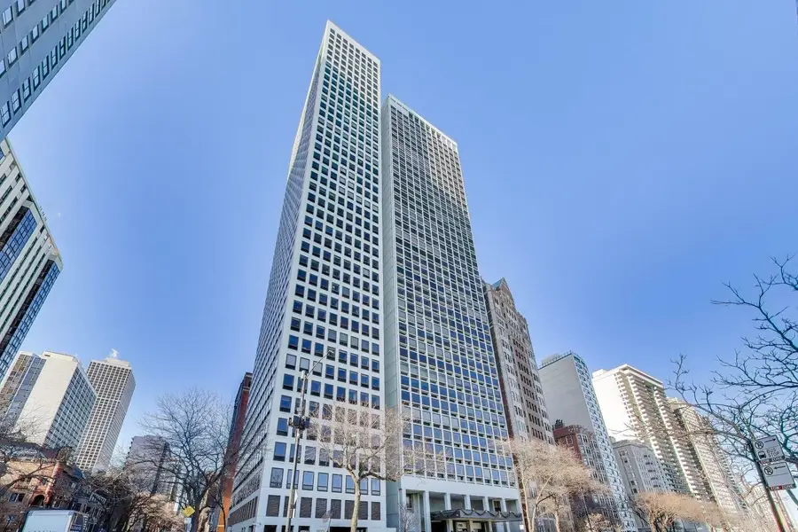 1100 N Lake Shore Drive #27B, Chicago, IL 60611 - #2