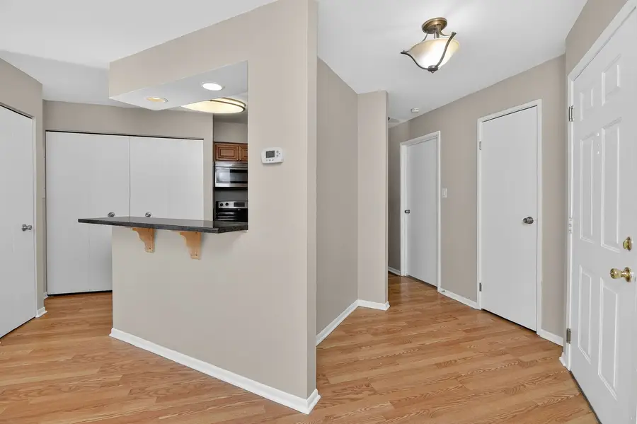 1233 Wyndham Court #204, Palatine, IL 60074 - #2