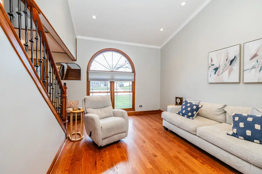 16624 Manchester Street, Tinley Park, IL 60477 - #3