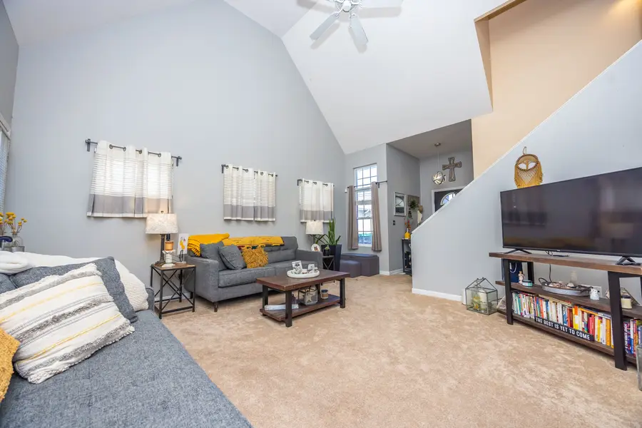 1438 Coral Bell Drive, Joliet, IL 60435 - #3