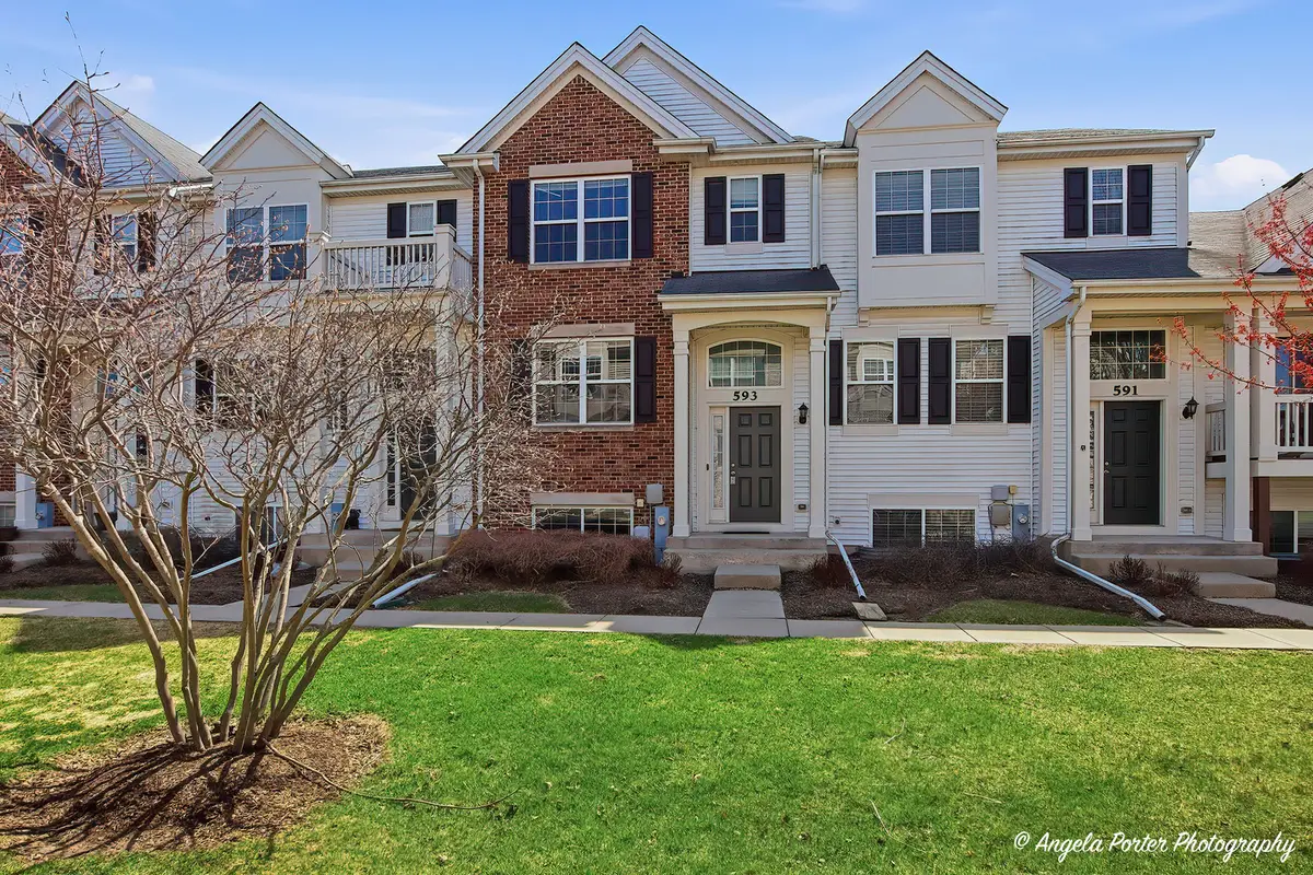 593 Treble Lane, Volo, IL 60073 - #1