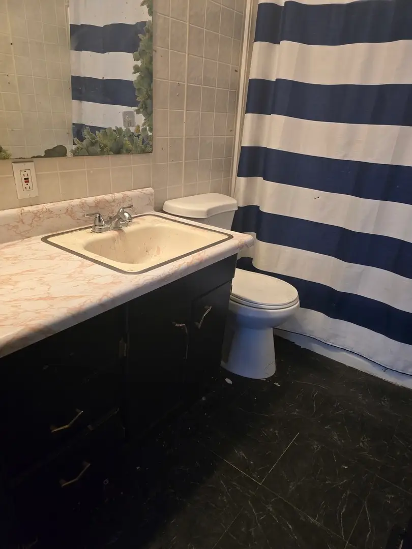 1003 15th Avenue, Fulton, IL 61252 - #3