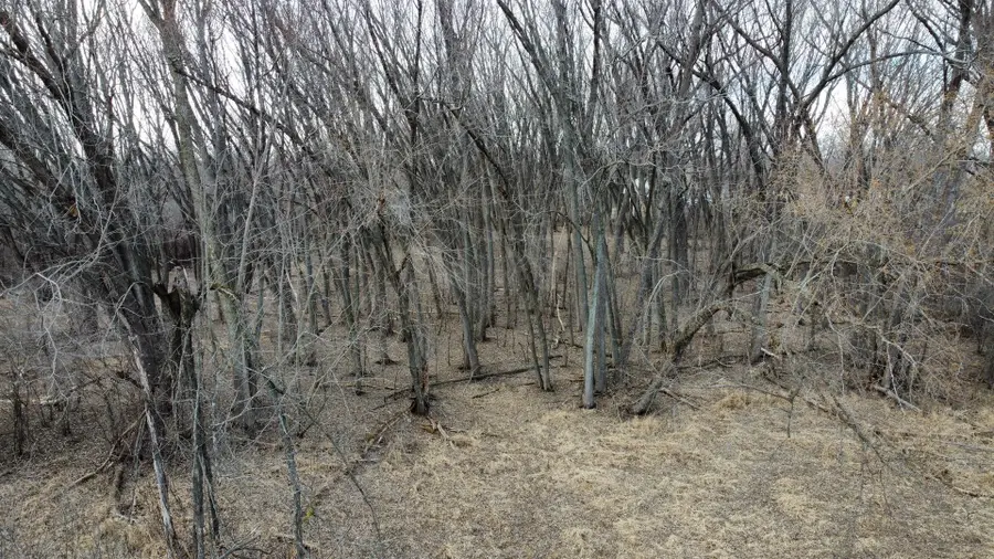 Lot 2 Palm Street, McHenry, IL 60051 - #2