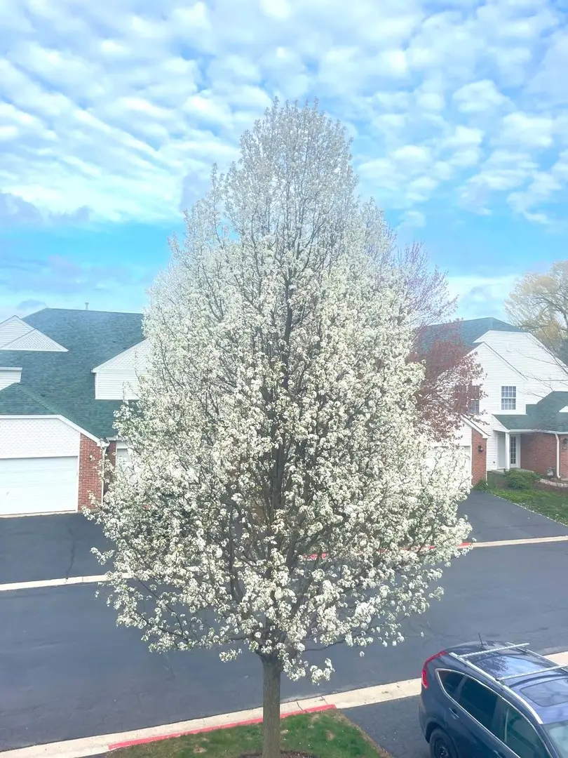 106 Pembroke Circle S #106, Lake Bluff, IL 60044 - #3