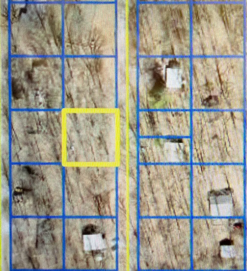 lot 30 Blue Jay Lane, Carbondale, IL 62902 - #1