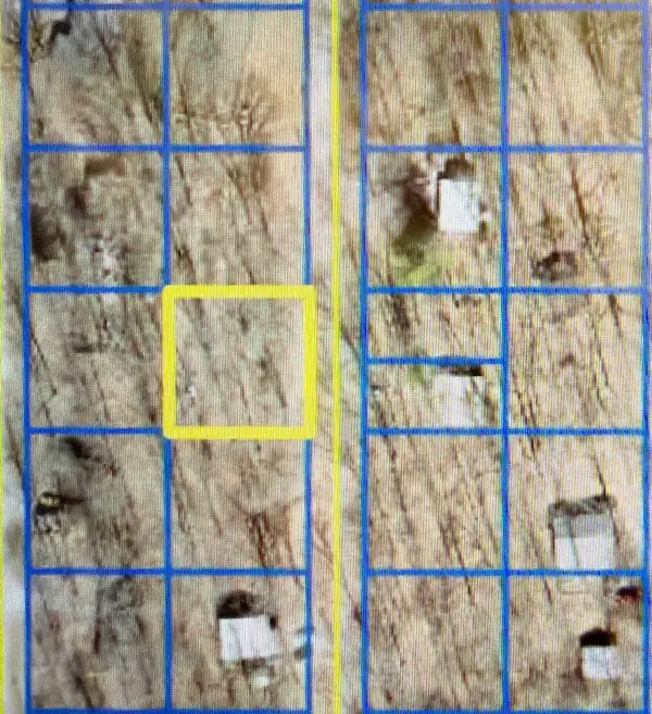 lot 30 Blue Jay Lane, Carbondale, IL 62902