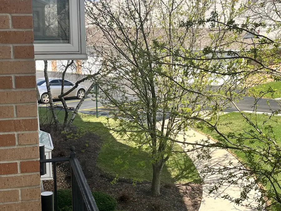 18320 Robin Lane #D2, Homewood, IL 60430 - #3